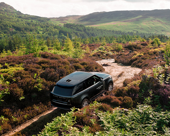Range Rover in a green hillside landscape